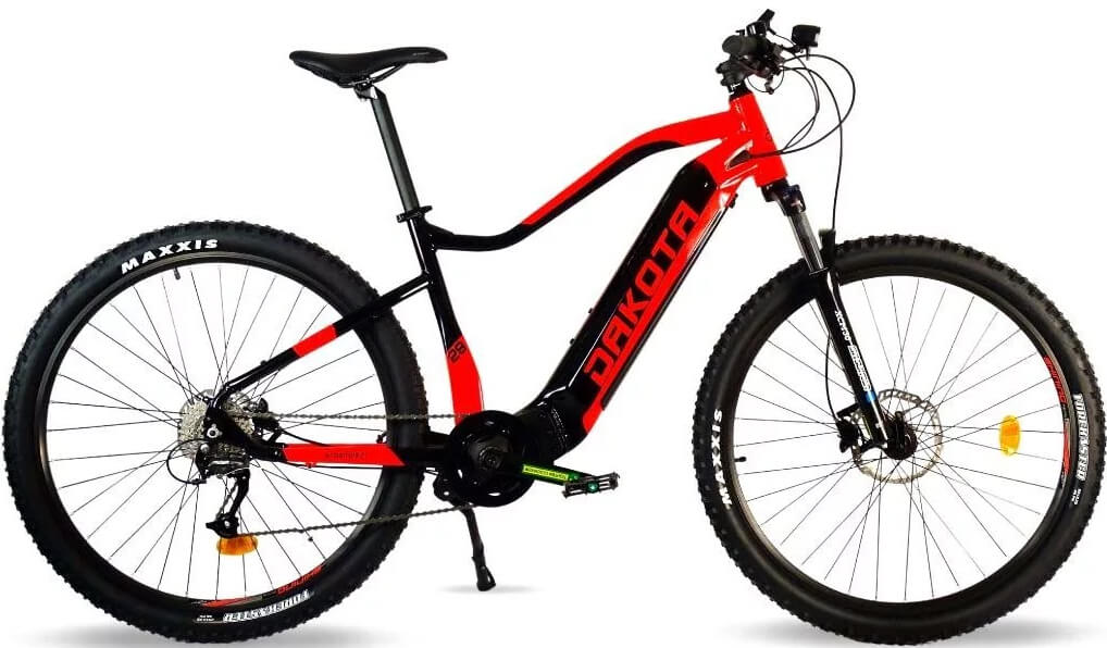 Mountain electric bike