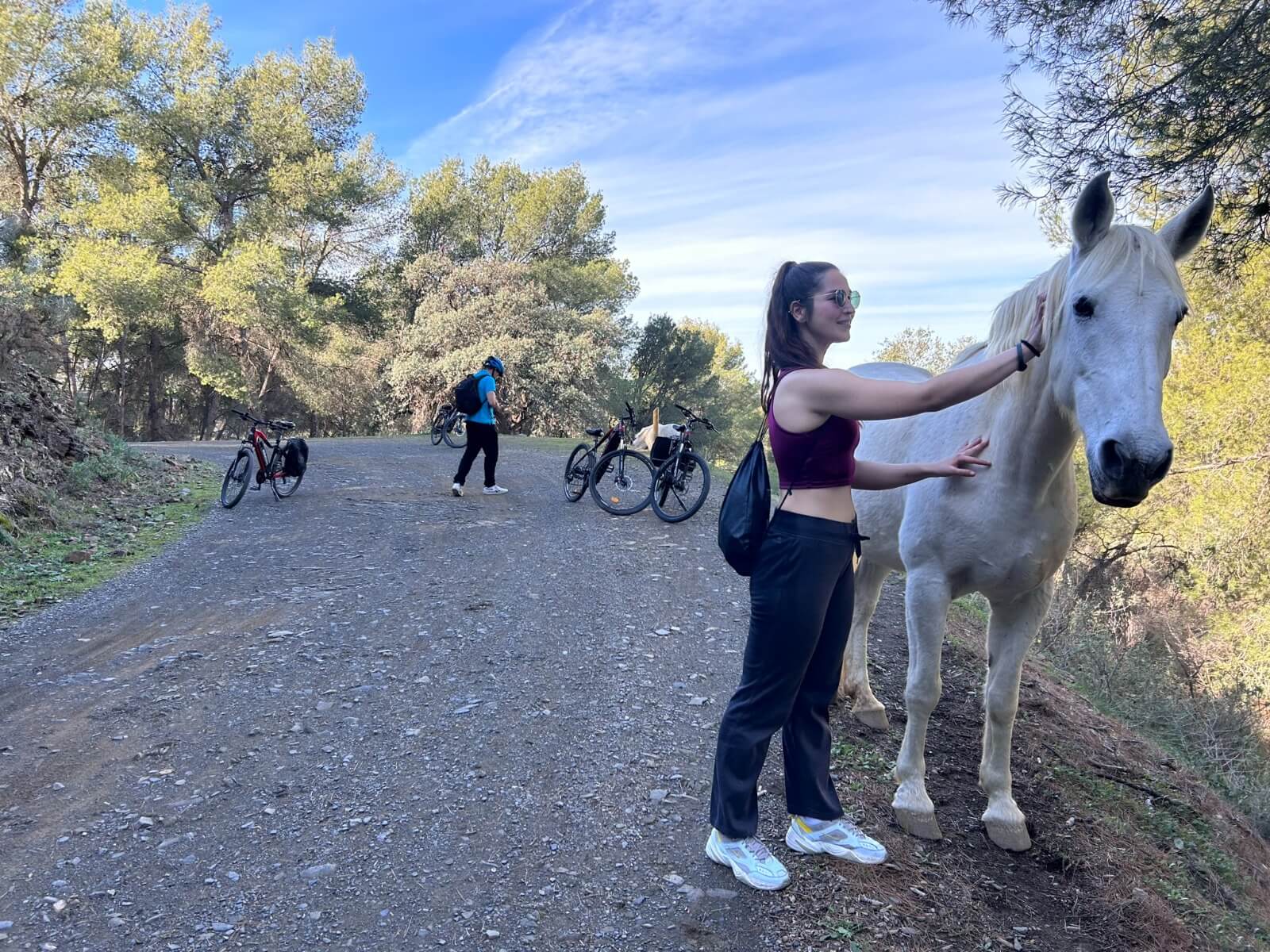 Montes de Malaga electric mountain bike experience